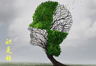 识是根