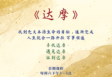 鉴证达摩（高级）